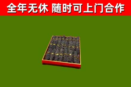 和平县回收海参
